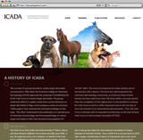 New business web design