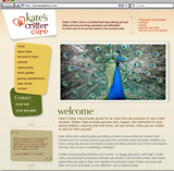 New business web design