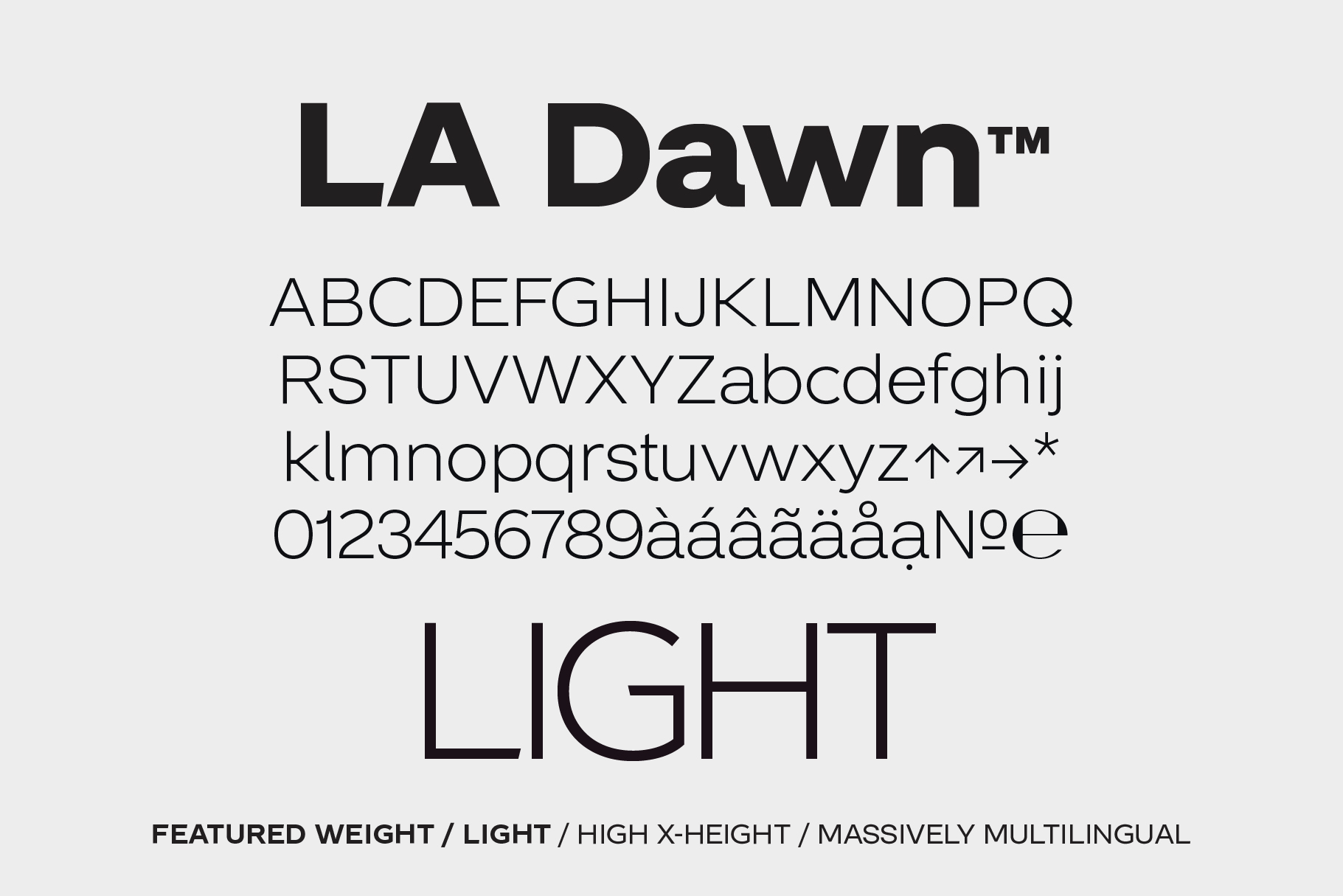 LA Dawn Light